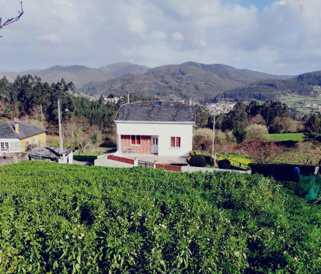 Casa Familiar Con Finca Privada Вівейро Екстер'єр фото
